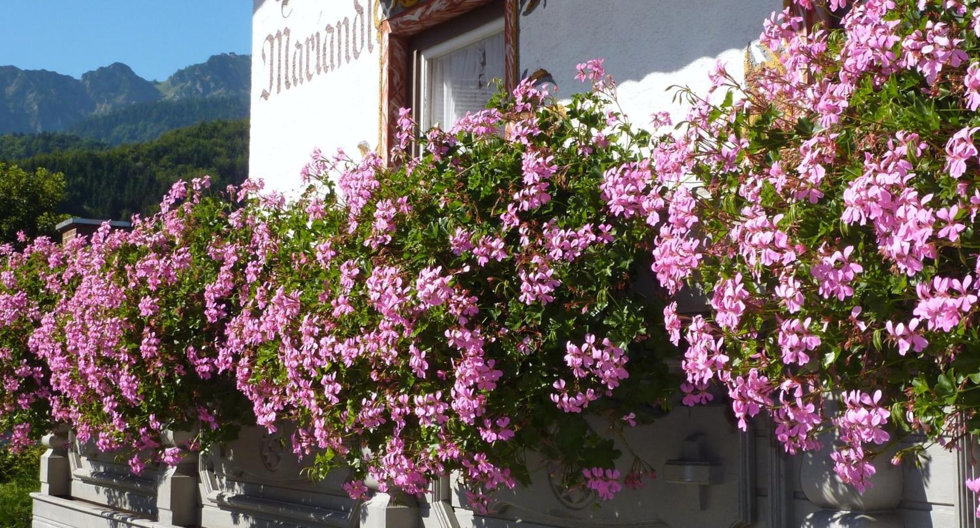 Hotel Mariandl Берген Екстериор снимка